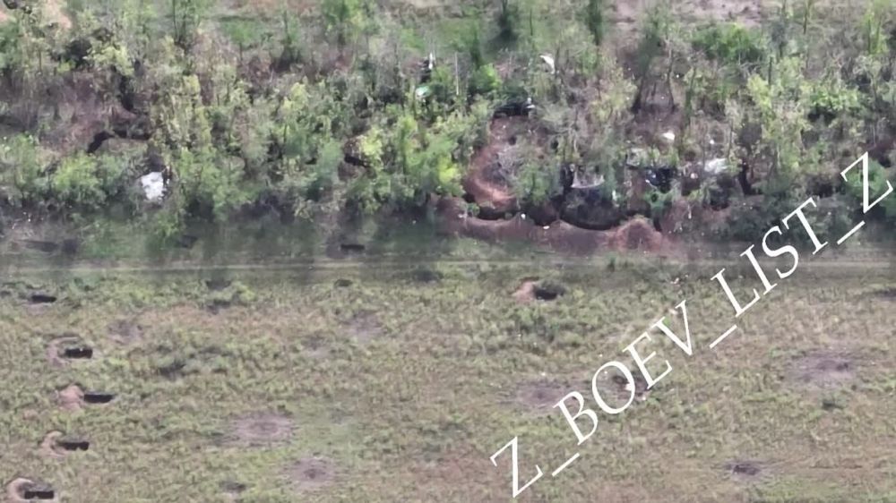 ����� �����: ������� ��� �� ����� �� �������� ������������ �����������