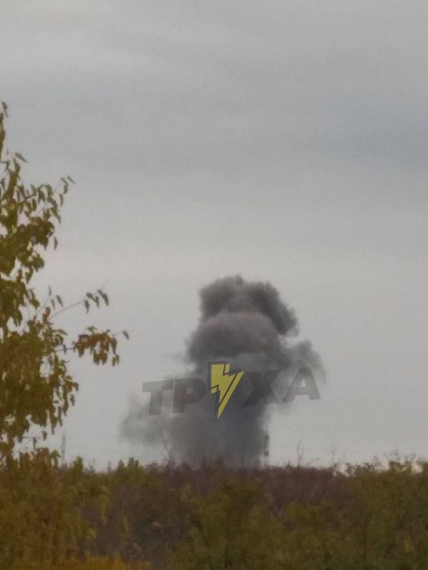 ����� �����: ����� ������� � ���������