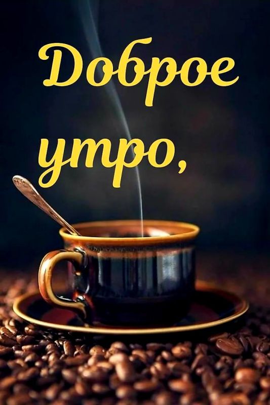 ��� ������������� ������ ������ ��� �������� ��� !