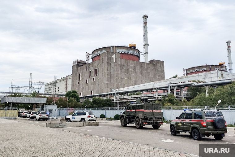 ��������: ������ ������������� ������ �� ����������� ���