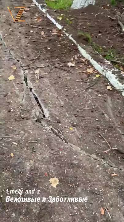 ������� ��������� ������ ��������� ������� ����������� �������������� �. �������-����������� ����������� �������