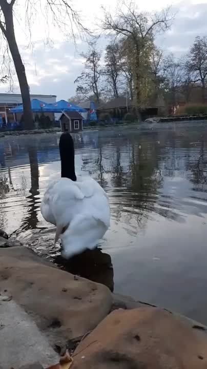 � ���������� ����� ������� ����