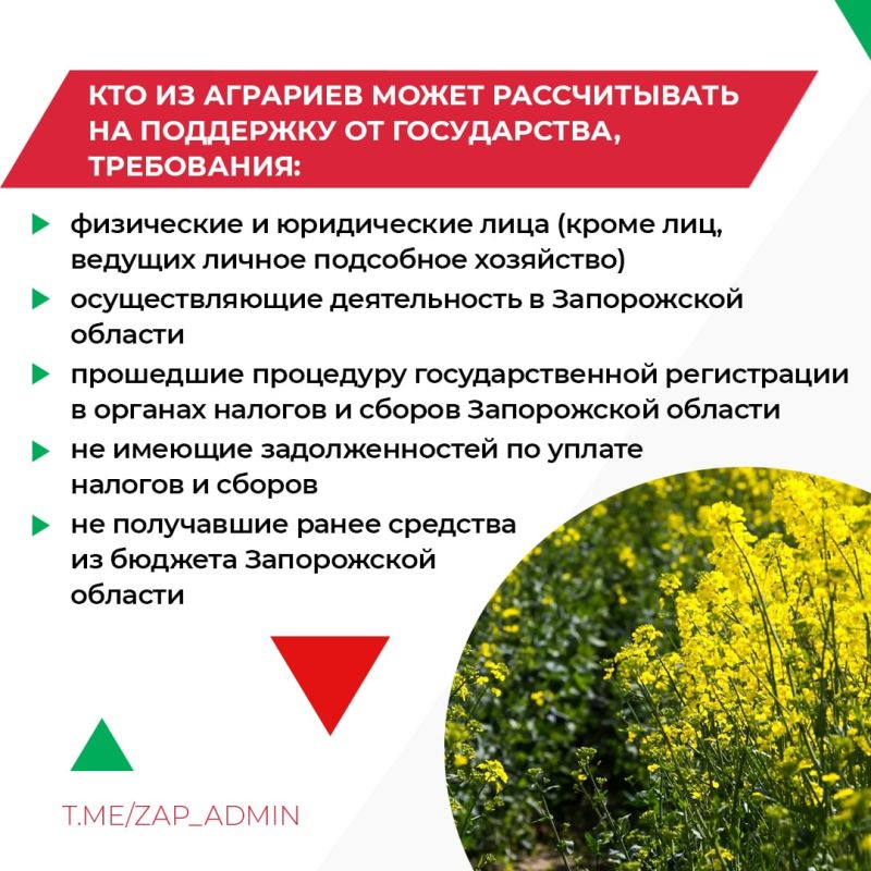 �������� ����������� ������� �������� ��������: ���������� � �����������