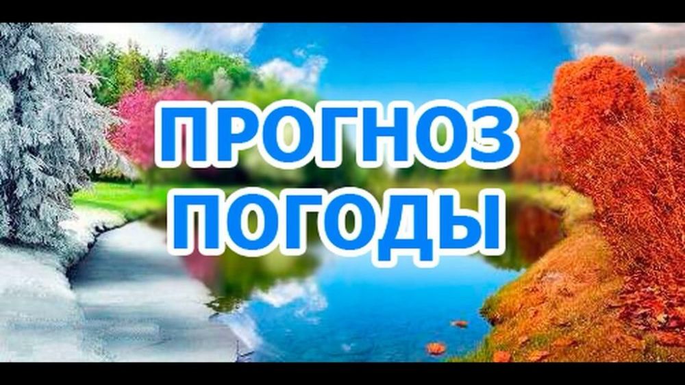 � �����������, 14 ������ 2022 � ���������� �������� ������ ����� �����: