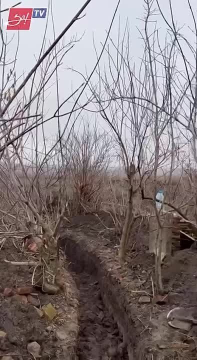 ���� ����� ����� �����
