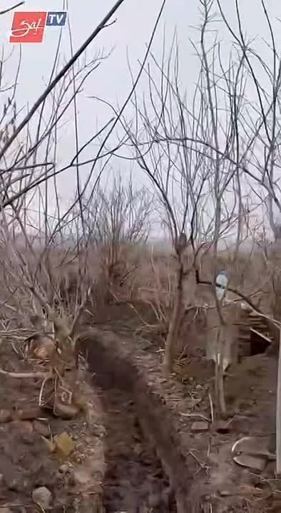 �������� �����: ��� ����� ����� �����