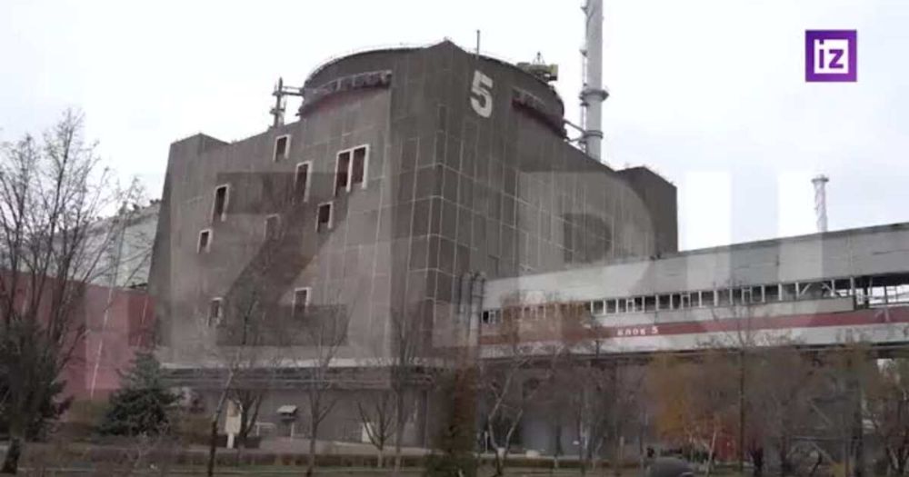 �������� ������ ������� ����������� ���� �� ���������