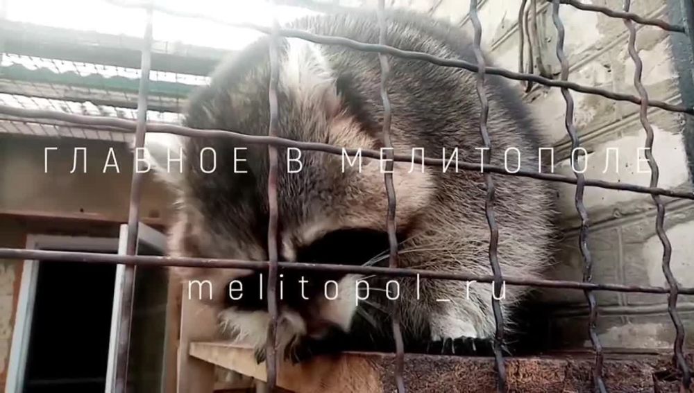 � ���������� ���� ���� ���� ����