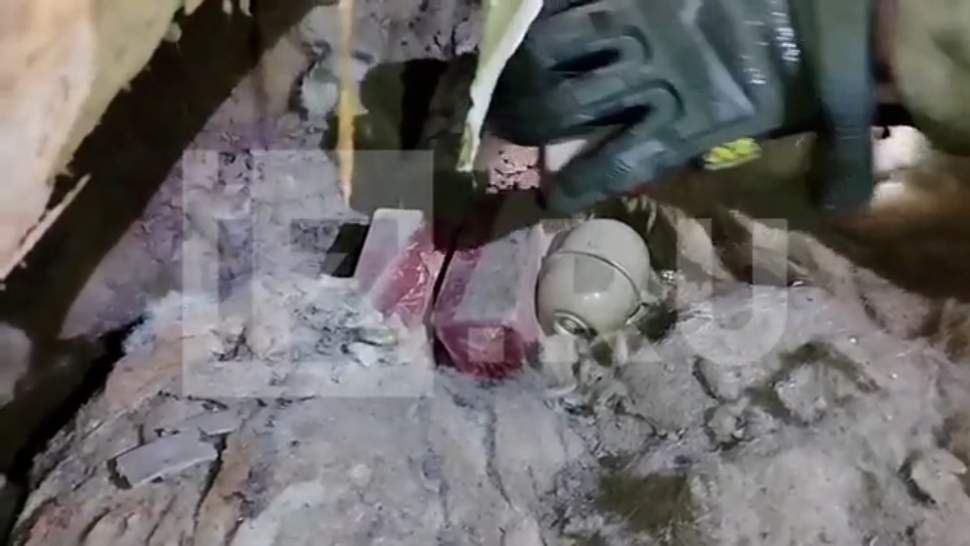 Лихачев назвал резолюцию МАГАТЭ по ЗАЭС неадекватным документом