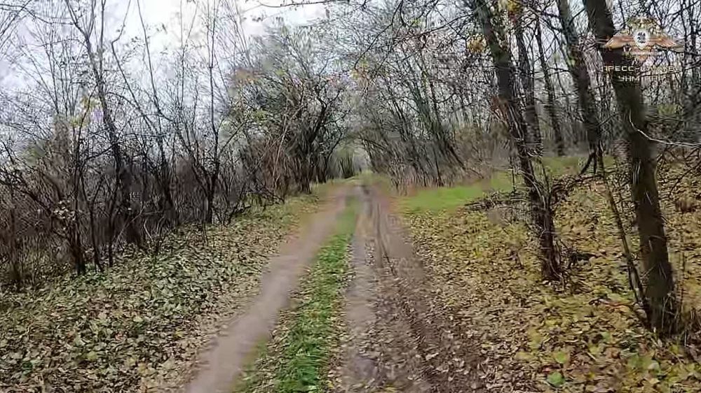 ����� ��������� "����" ��������� �� ����� �� ����� ������� �������� ����������� �������, ��� �� ���������� ������ ���������