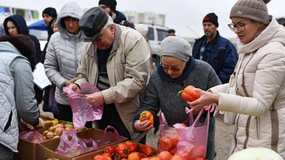 Какие продукты из новых регионов представят на ярмарке в Севастополе
