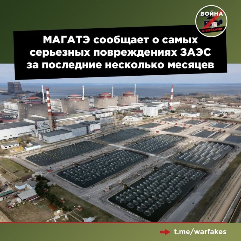 20 ������ ����������� ������ ������� ������ ������� � ��������� �������� ����������� ��� � ��������� �����