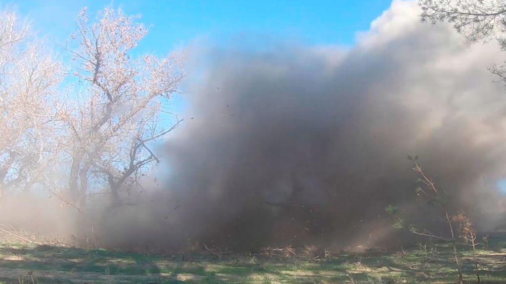 Росгвардейцы обнаружили и ликвидировали схрон с боеприпасами в лесу в Запорожской области