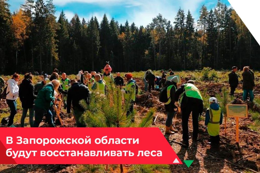 � ����������� ��������� ������� ��������� �������, ��� ����������� ������� ����� �������� � ����������� ������ ����������� ����� � ��������� ����������