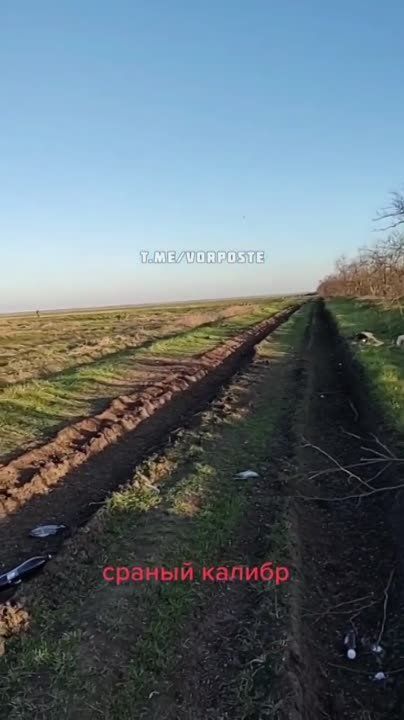 ���������� �������� ������ �������� ��� ��������� ��� � ����������� �������