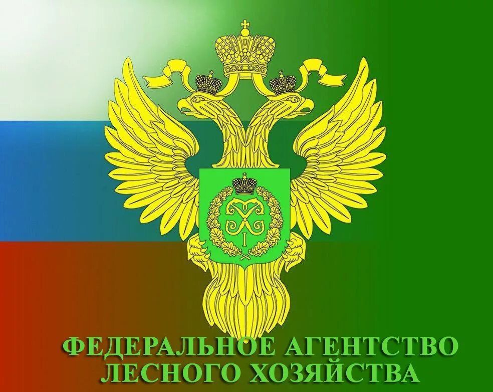 ���� �������������� ����� � ����� �������� �������� �� ����� 2022 ����