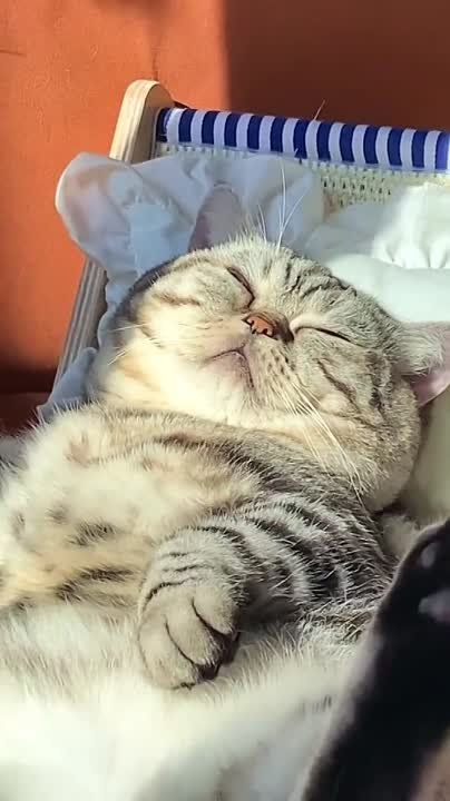 ����� ��� ���� ����� ������, ��� ���� � ��� ���� ���, ��� ��������� ������������