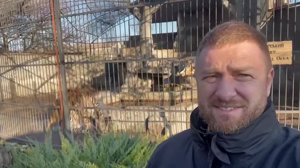 ��������� ��������� ������� ���������� ������� ������� Home Zoo � ������� ���������� ����������� �������