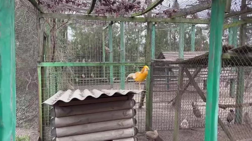 �������� �� ��������������� ������� ��� ���� ������
