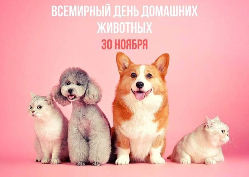 30 ������ � ��������� ���� �������� ��������