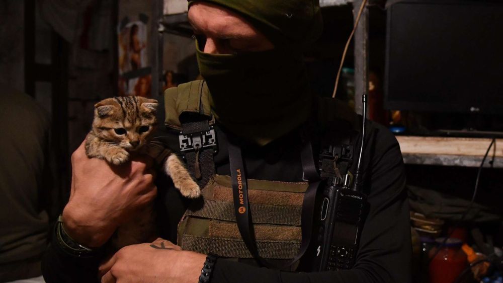 ������� ������� � ��������� ���: 30 ������