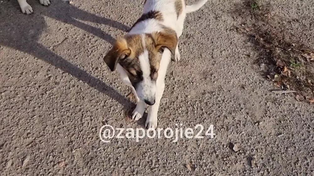 ������ �������� � ������� ������, ������� ������ � ����� ����������� ��������������� �������� ����� ��� 150 ��������� ����� � �����: ��� ����� ������ ��������� ����� � ������, � ����� ��� ��������, ��� ����� ���, �� ��� �� ������