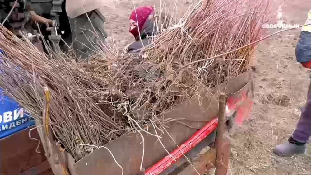 ���������� ������ ������������� � ������������� ����� "�������� ���", � ������ �������, �� ���� ������ ���� �������� 70 ��������� ��������