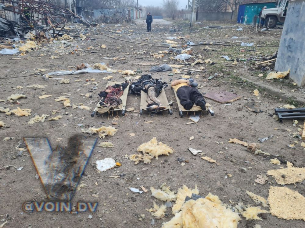 ����� �����: ��� ���������� ������. ������� 4 �����������, ��� 5 �������� �������