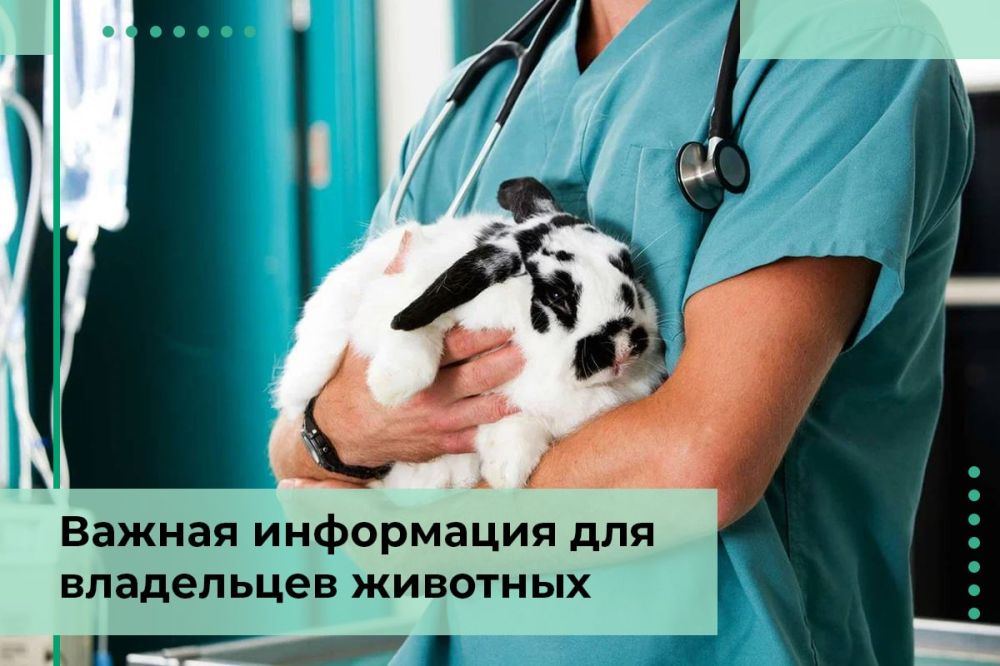 ���������� ��������������� �������� �������� ������������ �������� ���������� � ������� �������