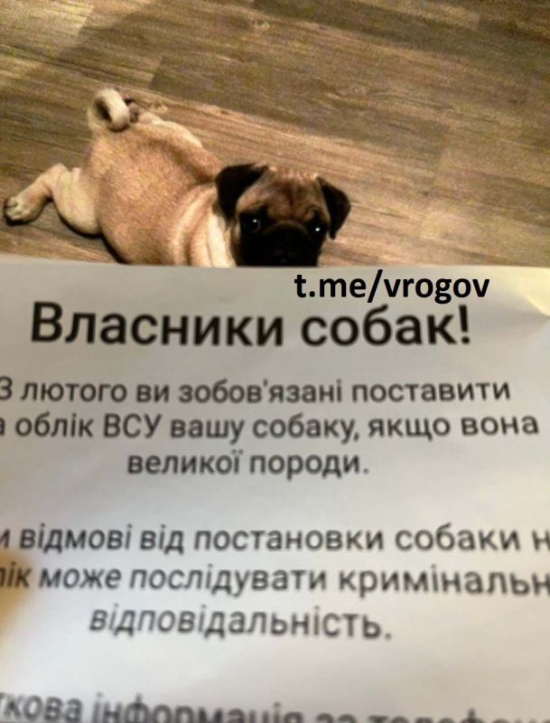 �������� �����: ���, �� ���, � ����, �� ������