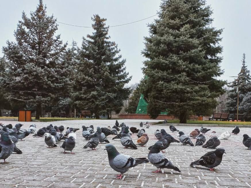 � ���������� ����� ������ ����