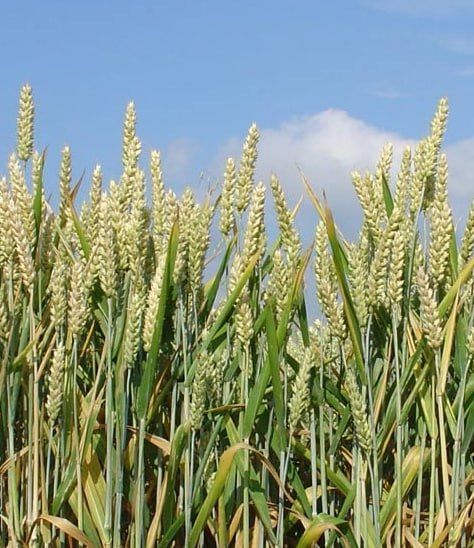 ������������� ������ �������� ����� 23 ���� ������ �� ��������� �������-������������� ��������� � ����� ��������