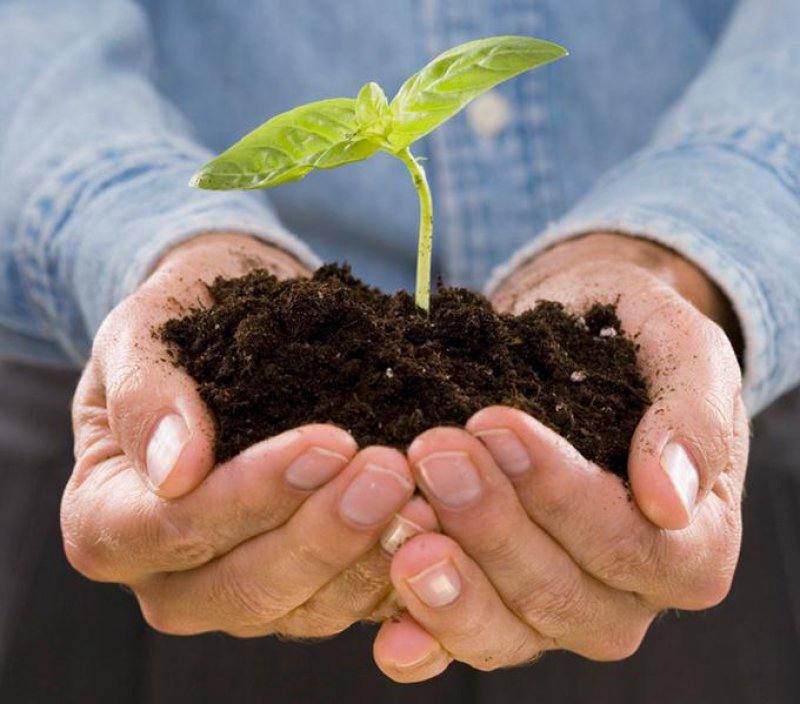 � ����� ��������� �� ����� ���������� ����������� ������������� �������