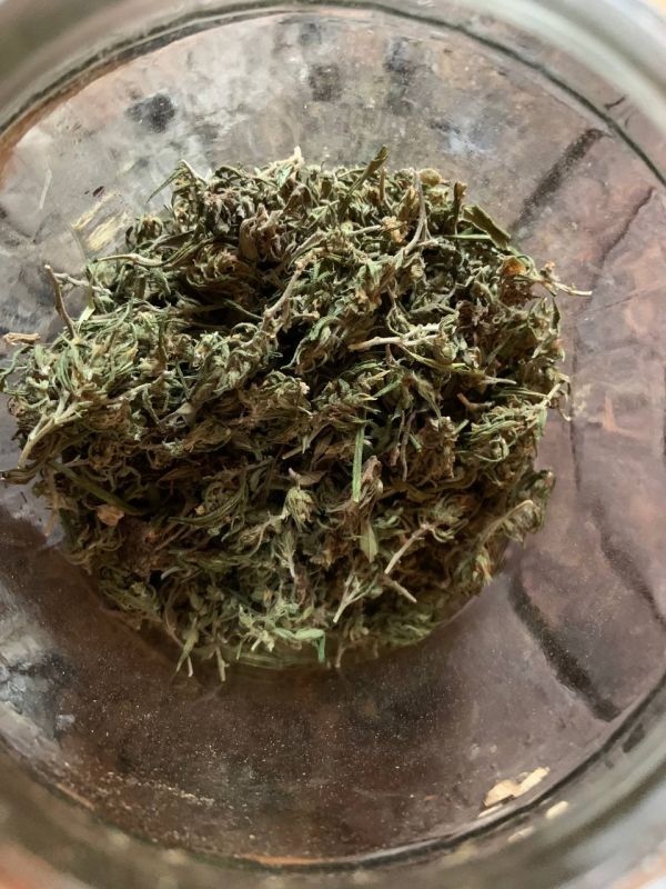 � ��������� ����������� ������ ���������