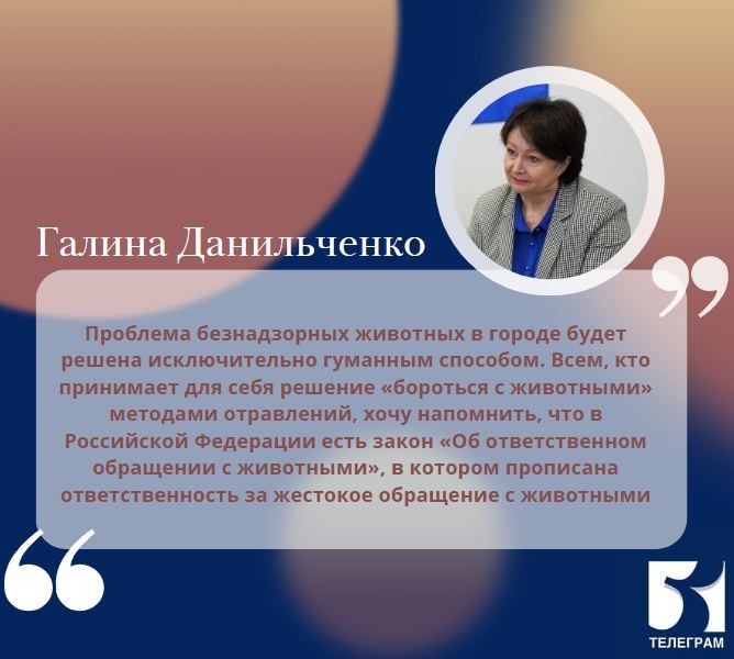 Проблема возросшего числа безнадзорных животных в Мелитополе – серьезный вопрос для города, и его решение максимально важно и находится на контроле