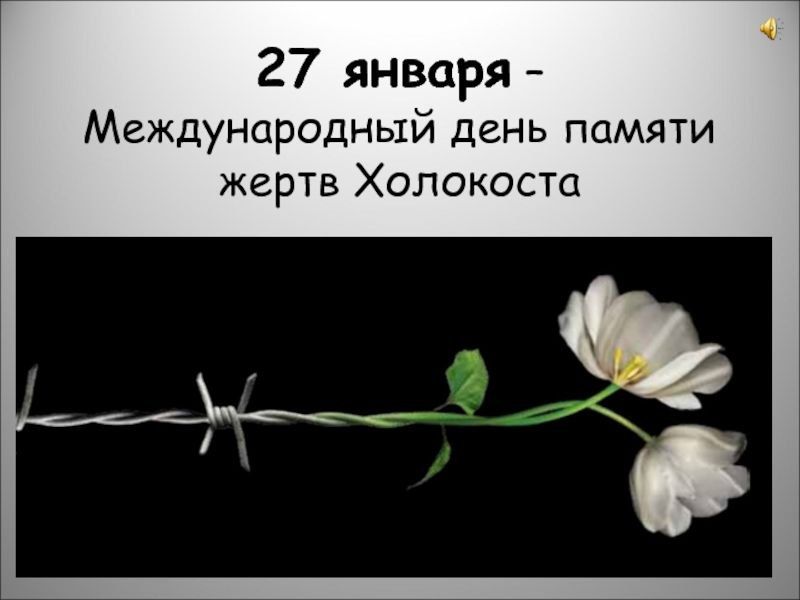 27 ������ � ���� ������ ����� ���������