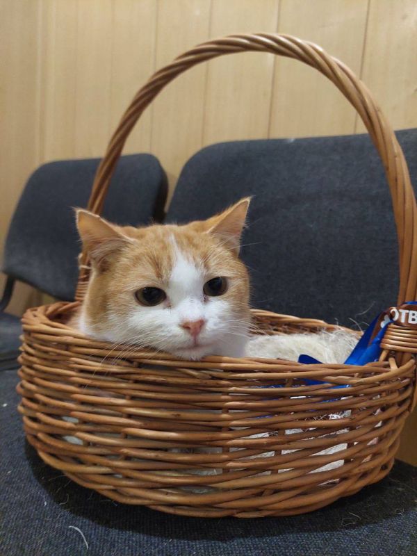 ����� ���������: � ������ ��������, ������� � ������ ���������� �������� ������������ �������� ���������