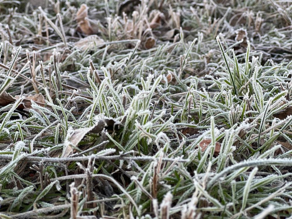 ������� ������ �� 1 �������