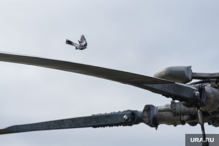 ���������� ����������������� � ��������� �������� ��������� ��������