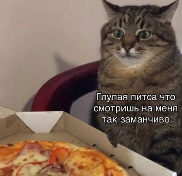 ������� ���������� ������������� ���� �����