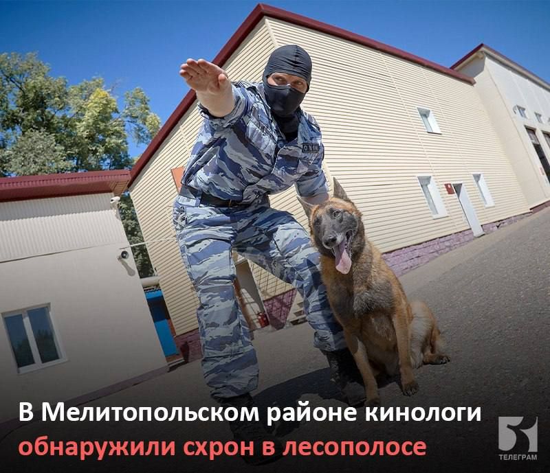 � ������������ ���� �������� ��������������� ������ ��� ������ �������������� ������ ������� ����� � ������������