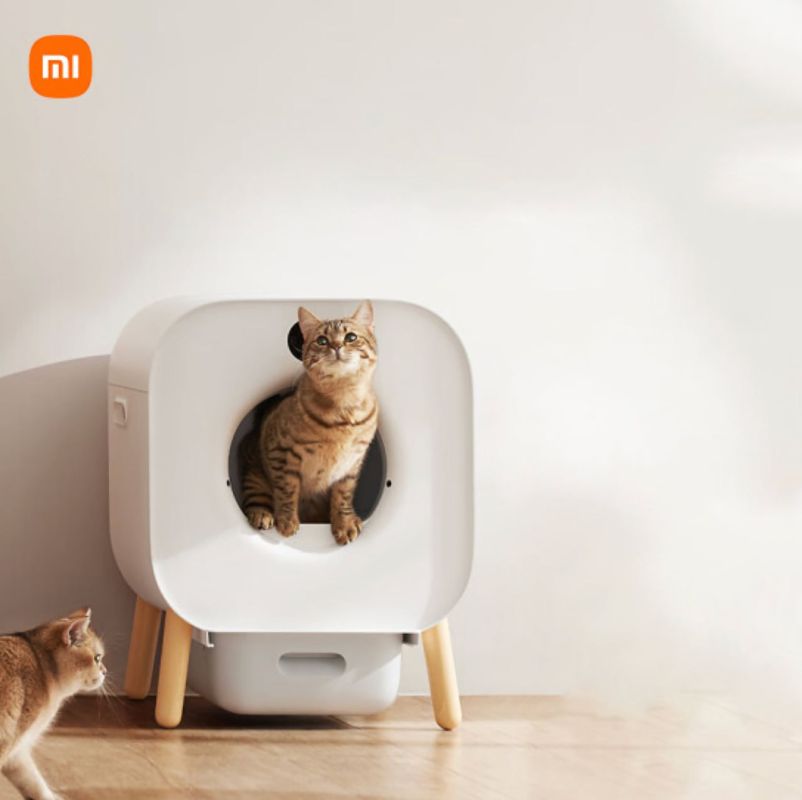 Xiaomi �� ������ ����� ����: �������� ��������� ������ ������ ��� �����, ������� ����� �� ������� 14 ����