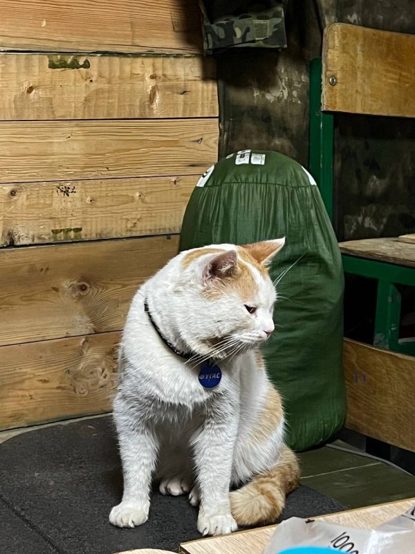 ������� �������: ������ ��� �����. � ����� �� ����� ����� �� ������������� ������ �������, ����� �������� � ����� � �������� 336� ����� � ����������� �������