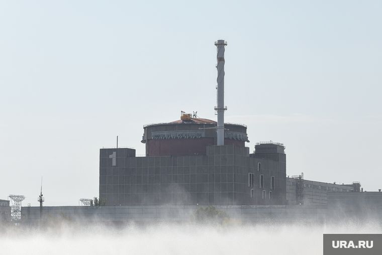 Рогов объяснил, как Запад признал Запорожскую АЭС российской