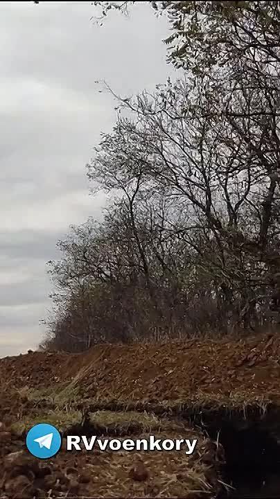 ���������� ���� ������ �������� ������, ������ � ������ �������