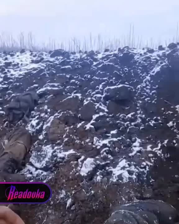 ������ ������!� � ����������� ������� ������� �������, ��� ���������� �� ����������� �����������