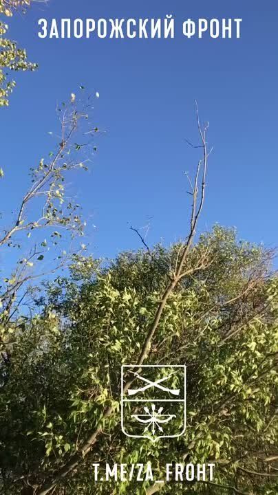 ����� ������ ��������� �� ������� ���� � ���� ���