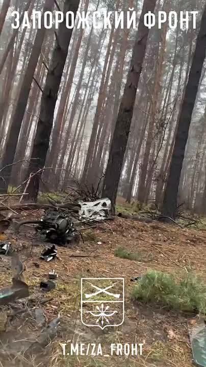 ������������ ������������� ���. ����� ����� � ��� �������, ������������ ����������� ����