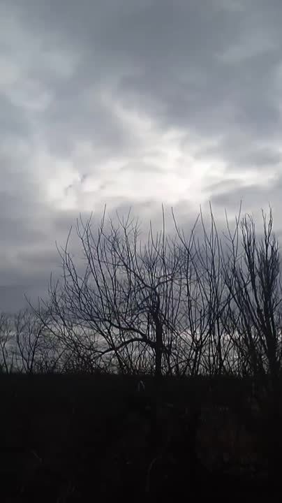 ��� �������� ���� ������