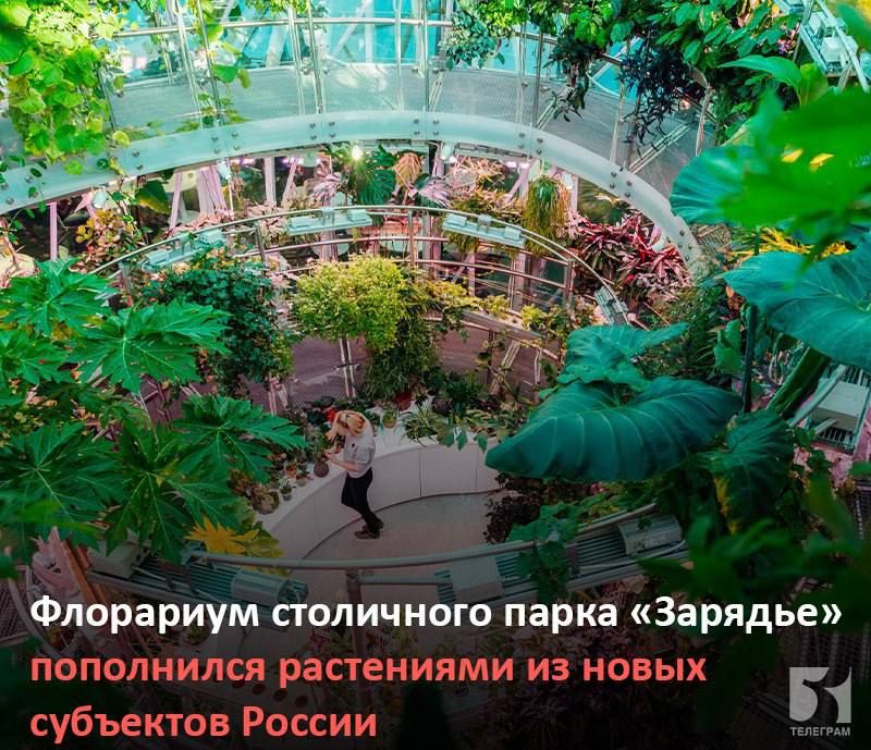 ����������� � ���������� �������, ��� � ��� ����� ������ ������� ������������ ���������� ����������. ������� �������